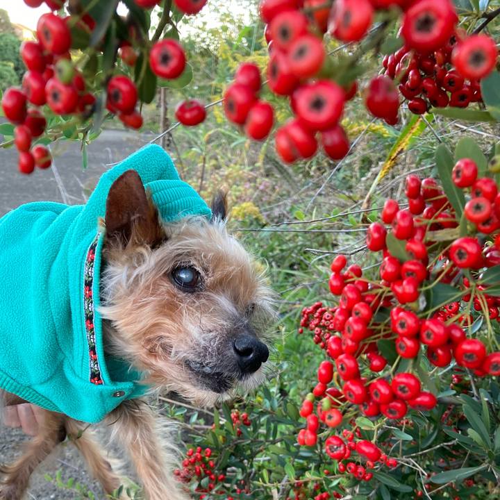 67cbb54c d4da 41ac bc0b fb94203115c4 1698577087834