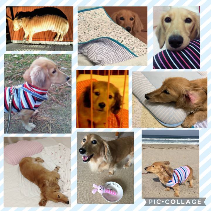 67cbce31 84fb 432f 8dcd 5a6b0ac36c96 1694321180200