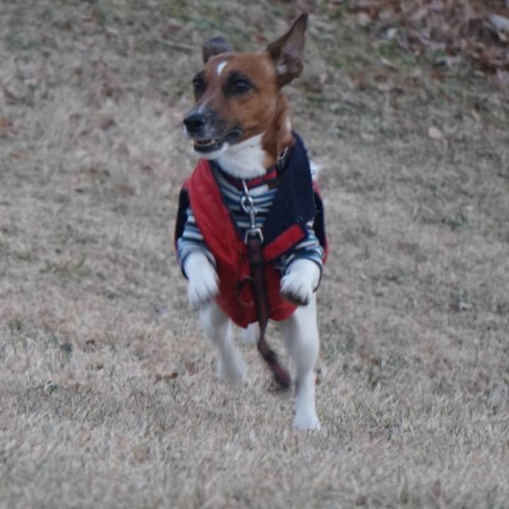 67cbd7bd 0114 4426 99fa a358f461dcd9 1513727818764