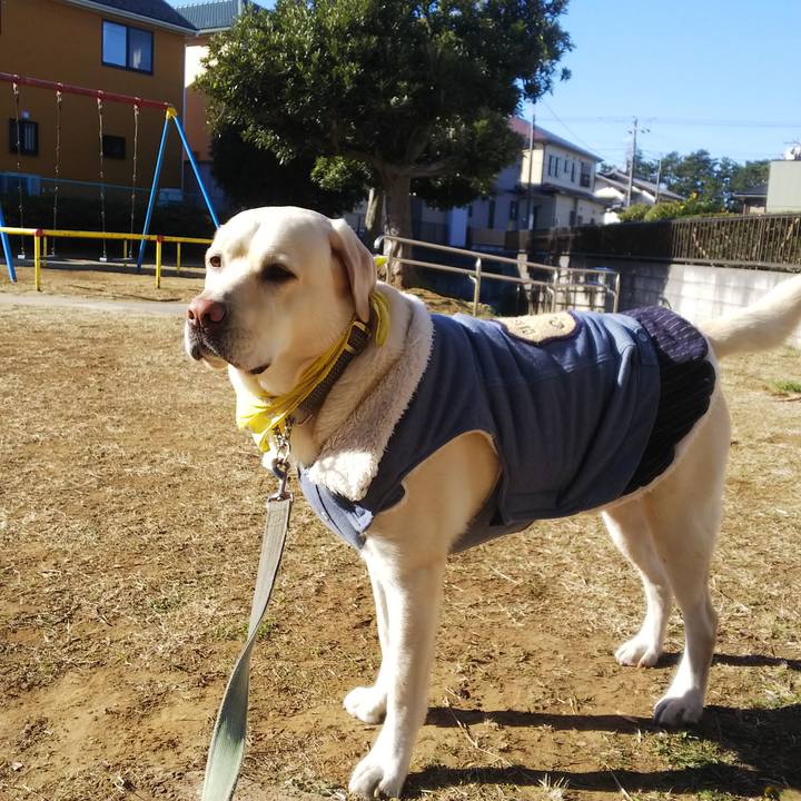 67cc0f53 83a8 4248 91d0 cc9065dad466 1547171242945