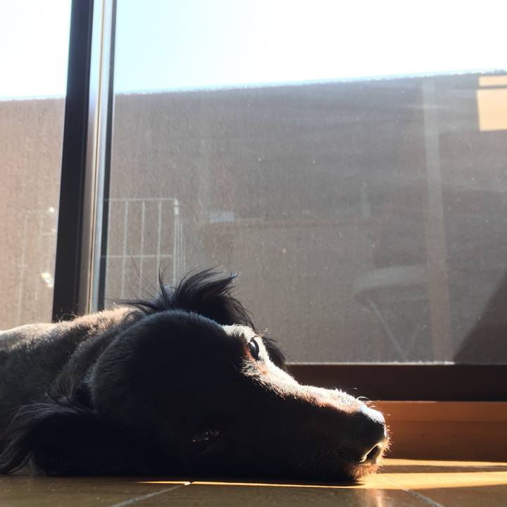 67cc2ed5 a8eb 4530 bca0 d18c563572ba 1533593568896