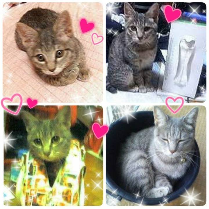 67cca673 7d7d 4a28 af98 6e572aba2dc9 1633816479461