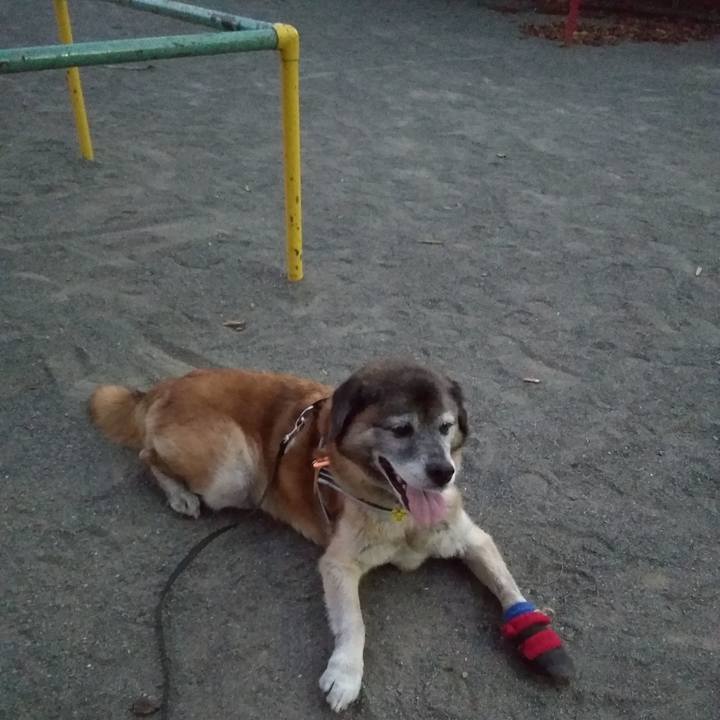 67cce9f2 092a 46c5 a127 39433c7a824c 1565260510887