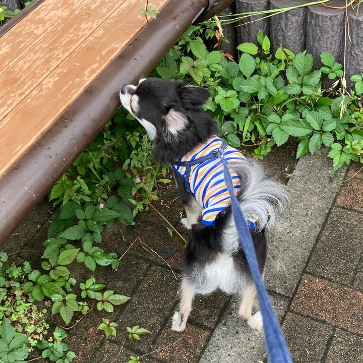 67ccf791 0a39 4fcd a395 ed778c2fb255 1688222094271