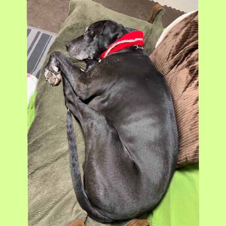 67cd16ae 389c 4d87 a631 b04faf27ed01 1550579873994