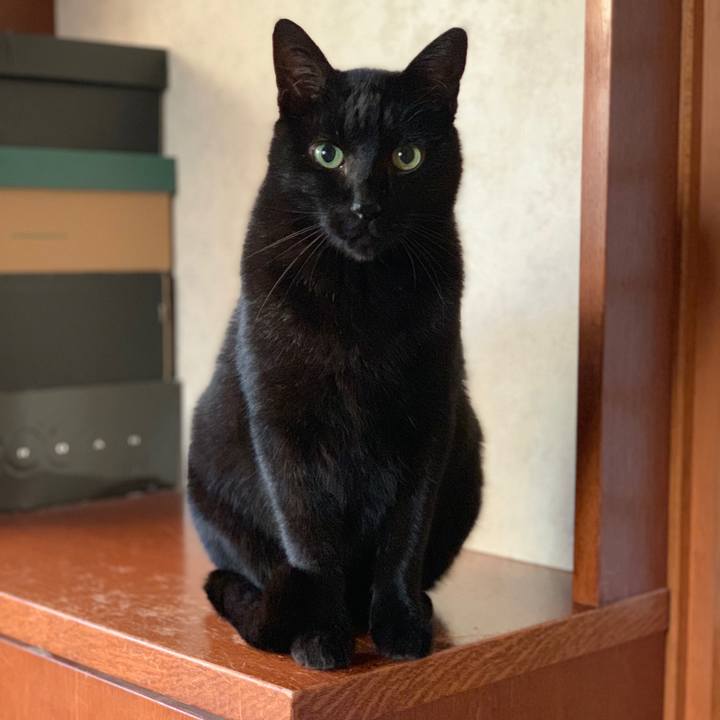 67cd2ef4 574e 4b15 bc20 b80d14bfa61e 1545439179872