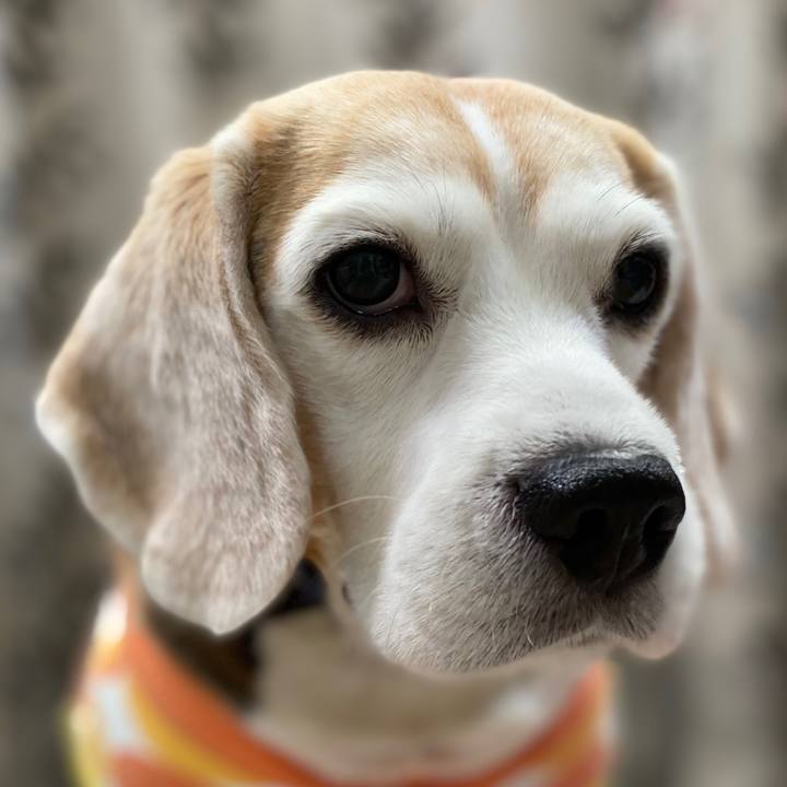 67cd3655 85be 4c96 8ab9 9c0bec87ec34 1578713419814