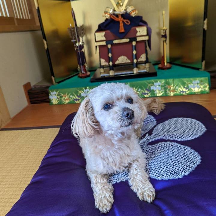 67cd5377 12fa 4844 a493 d266b749f523 1651631949059