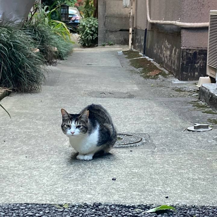 67cd680c ebfc 495b 8270 f0f5c3ca5a23 1700999570188