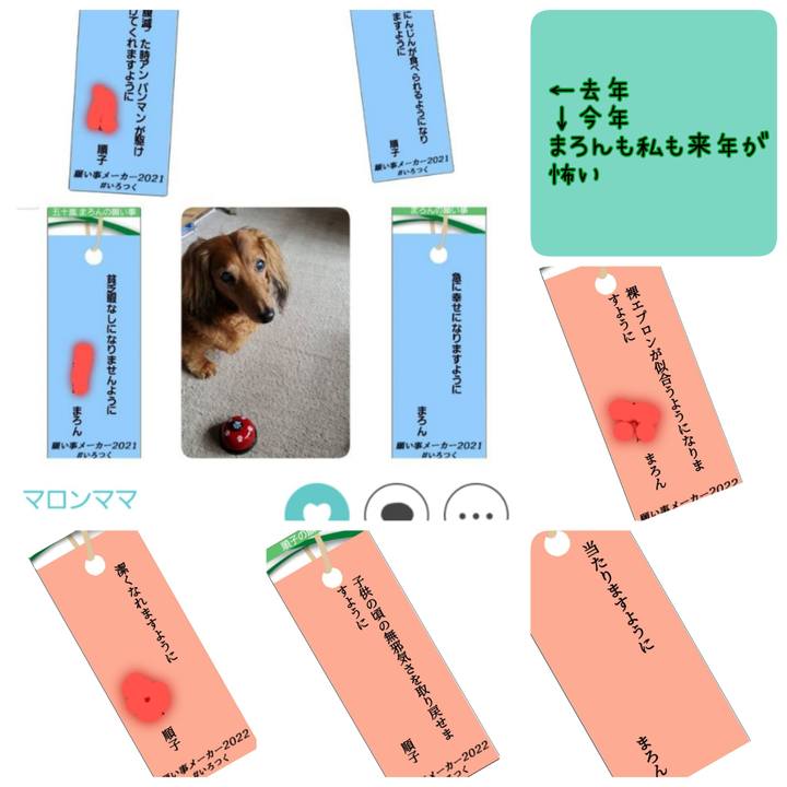 67cd842a c5d7 4ff3 8a5e c1d4099999d4 1657108325841
