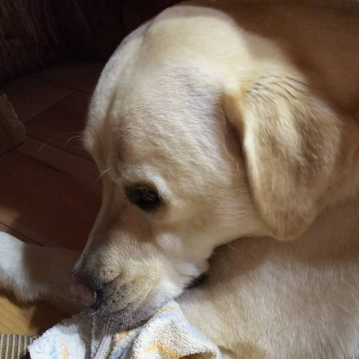 67cdbb3c 0634 4073 b6a3 a046a279a1f0 1563612281000