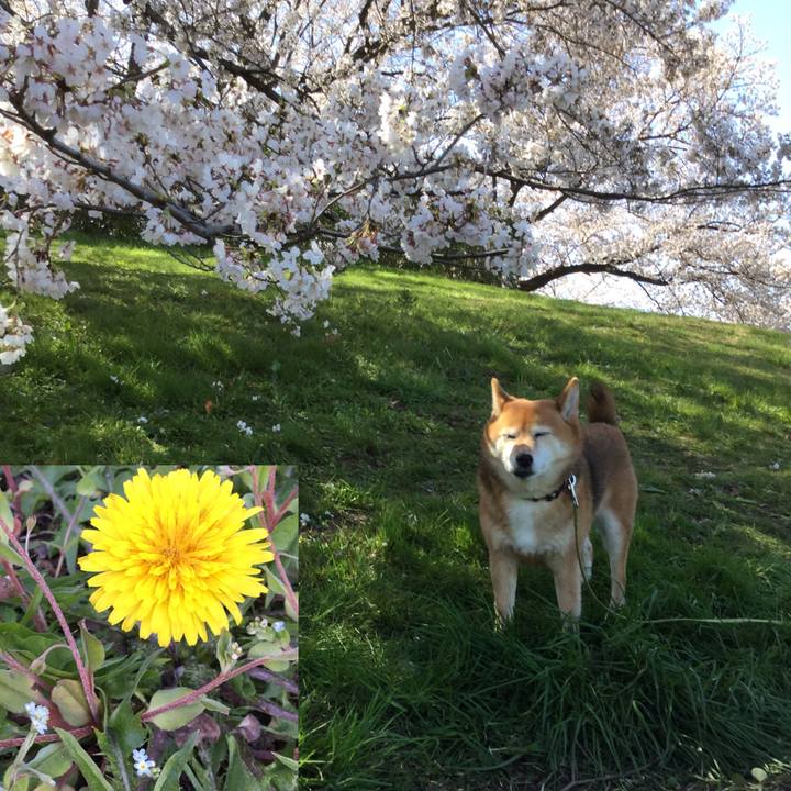 67cdf44a 3e64 4cd5 bb6d 26d8cc9673dd 1585126425763