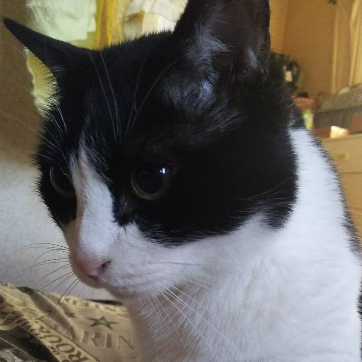 67ce27fb cdc2 4eac b370 94741e1c24a3 1534554271268