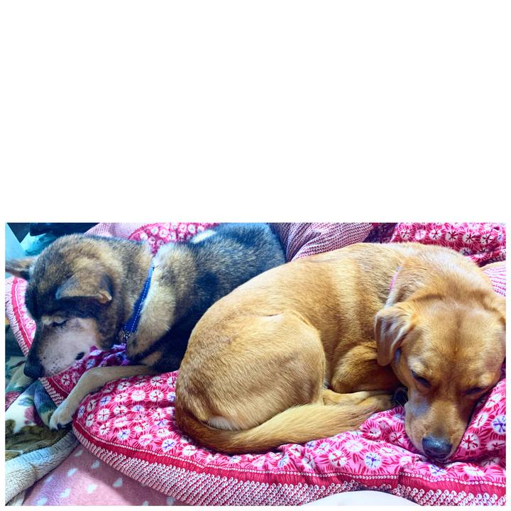 67ce6d54 5521 4650 adb3 41233129c6a6 1573865897464