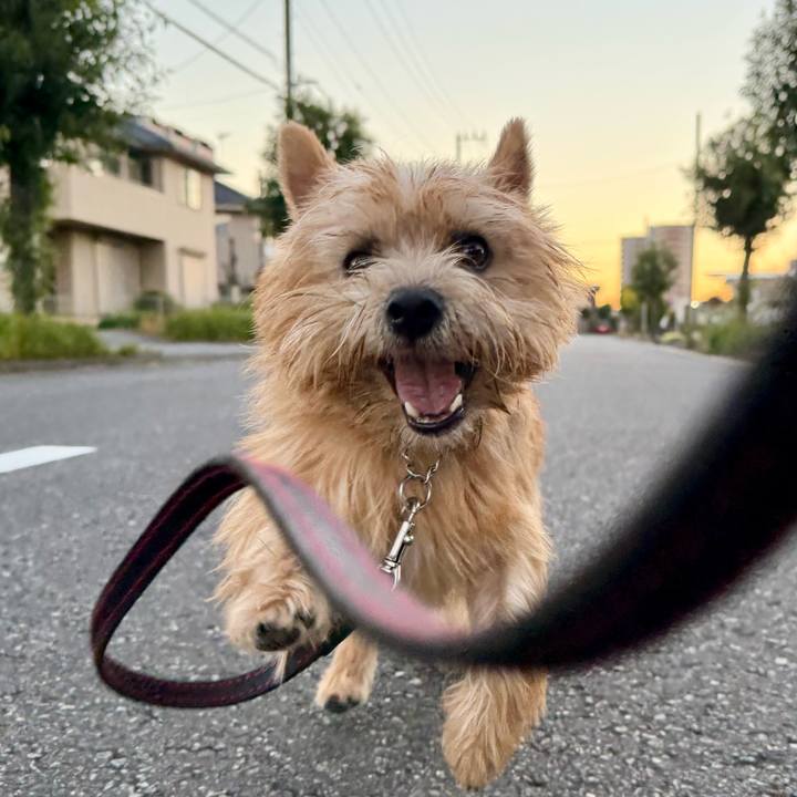 67ce75d7 7b6f 4506 b77f ac7eaa37935d 1762965010678