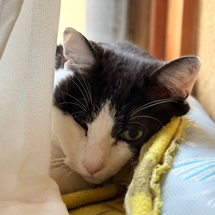 67ce9017 8048 423e ae8d 1c9d9e7109fc 1743820015402