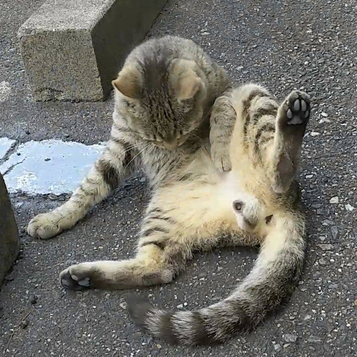 67ceacae 1d14 4257 b7eb 80f772ff95da 1529212013965