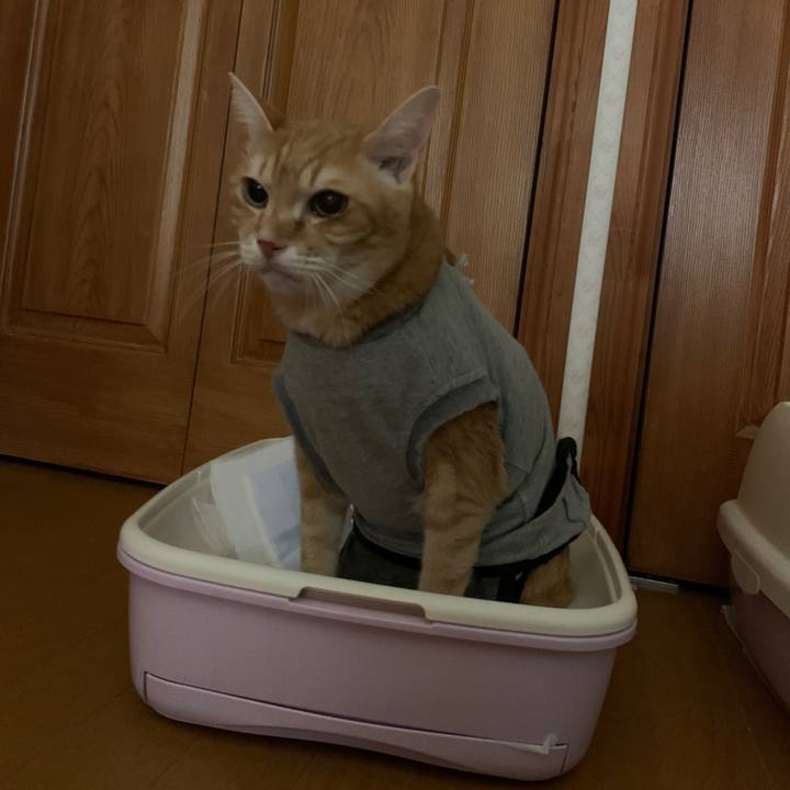 67cecf72 b822 43f4 b7a3 a9c89a54828a 1642623473248