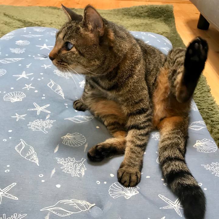 67cee3fe ef0e 418e 8f2e 3f01bde825b4 1590012968746