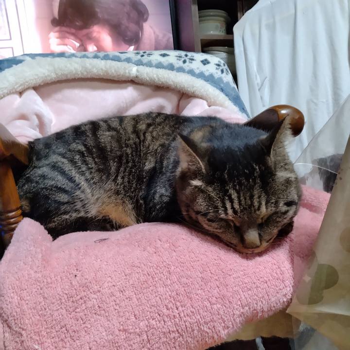 67cf1d5f 28bf 43d5 bae9 50cf05507689 1673091556270