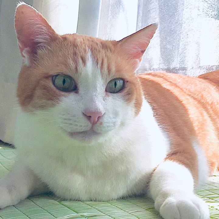 67cf21cd 3619 49ed b72e abe8f9b6f96b 1588667143604