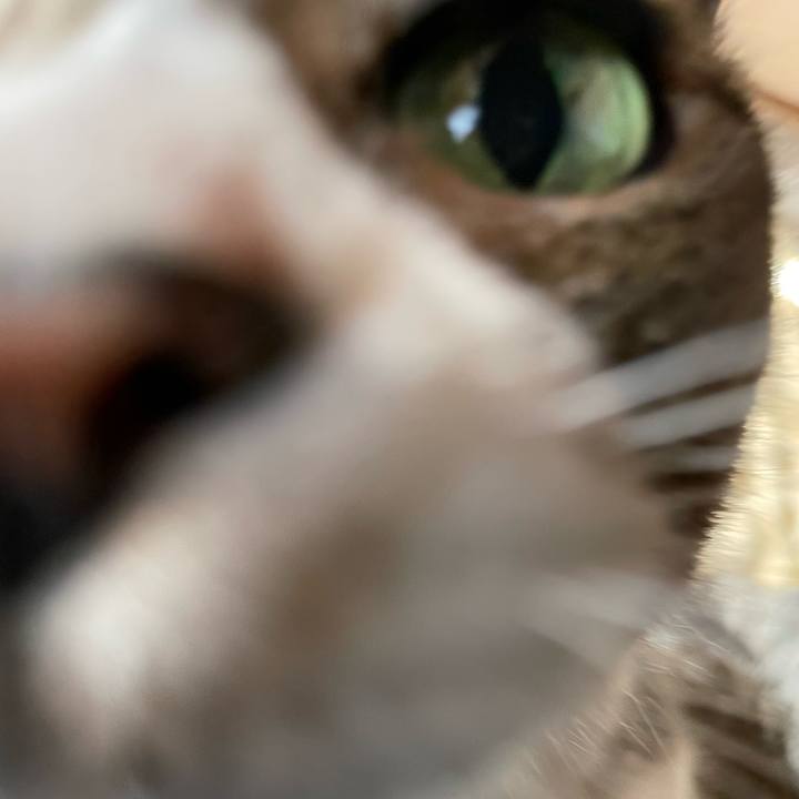 67cf676c f0f3 4574 84b1 4dd36bfd4212 1642816356190