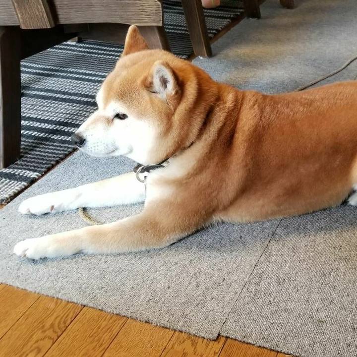 67cf7c72 2557 4081 8814 1b74acfd7936 1521281615089