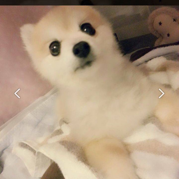 67cfd526 2b2b 4919 b1ae f2ee6fbebbd9 1510654386539