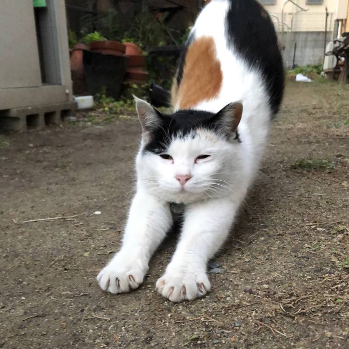 67cfdaae ce71 4679 bc39 3c8e5cc49911 1612390891721