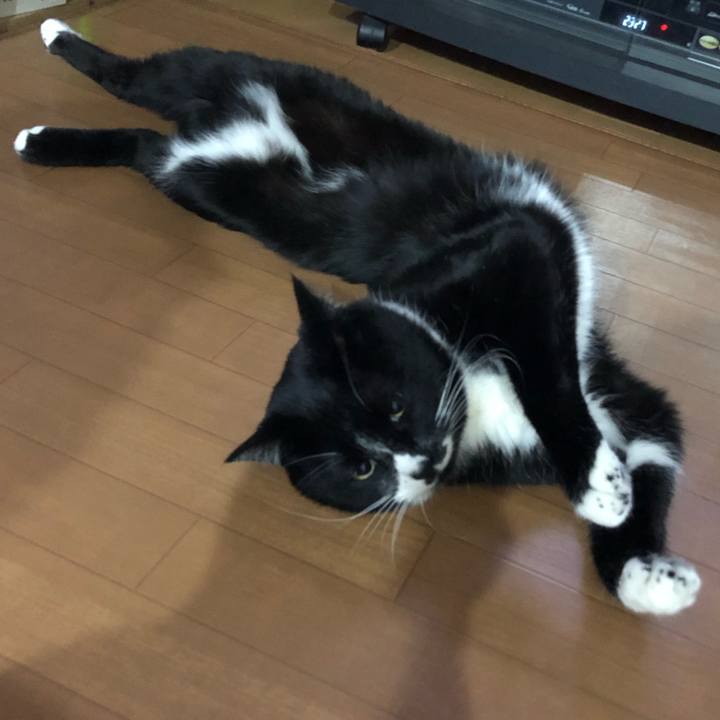 67cfed2f 38bc 4786 b1f5 9e860aa457e0 1613012747310