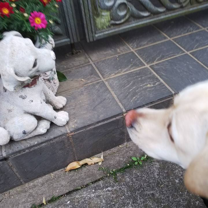 67d001d7 57d0 48f1 b679 5f3e35476d57 1522139441515