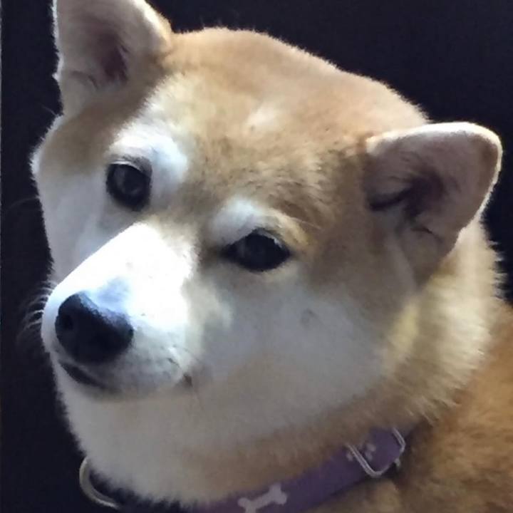 67d00263 aaa4 47eb 9187 96998753a104 1766294216056