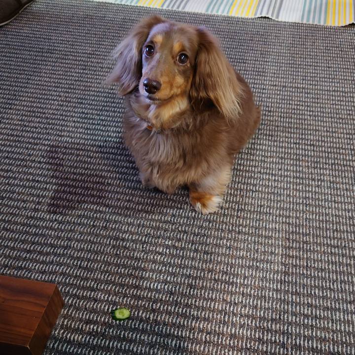 67d033e9 38ba 4cdf a4d4 c077901c1e14 1652227029565