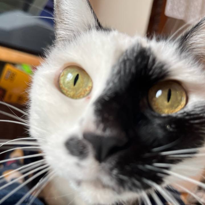 67d039ef 7a87 455f ab36 aeb4a80ae346 1772371331078