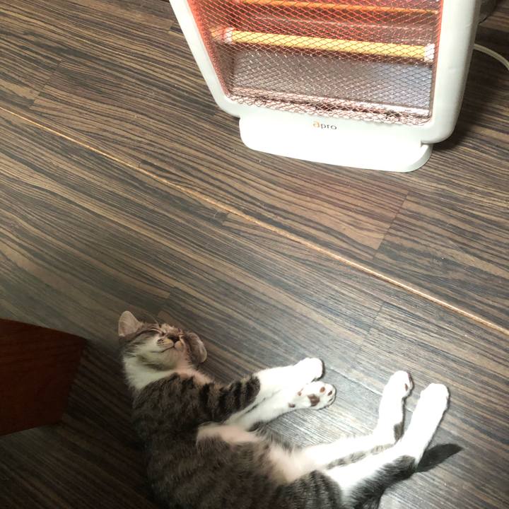 67d04bb2 2dfa 4082 8267 60e5ea9f699f 1638272522905