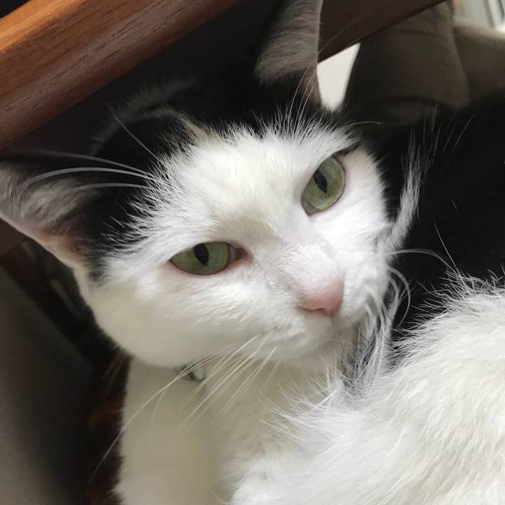 67d058a8 b417 432a 99da d7cc5e560466 1541163857924