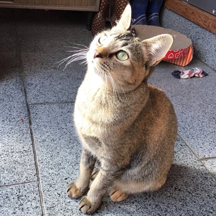 67d07d51 410a 4599 8320 6c9b69249618 1578891189895