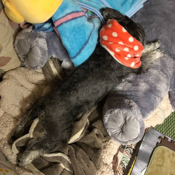 67d08c2a 51c3 44b8 ad6f 1167267c9e1a 1520600375146