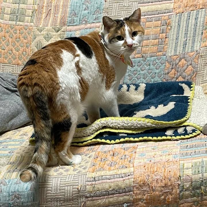 67d0ba68 19ca 4ed8 8b80 9232da3d1092 1767710599940