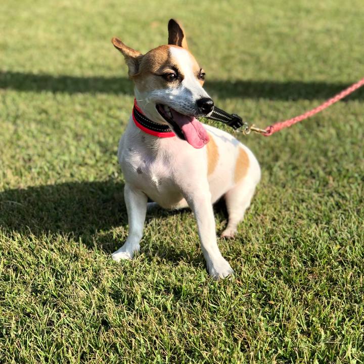 67d0fafa d56e 4097 a433 9b6365d89dfc 1571468203031