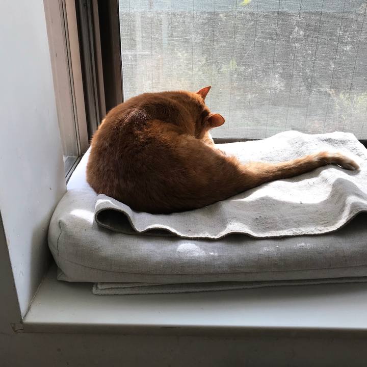 67d11930 27d6 4b1c b28b 500dab608bc2 1511334206113