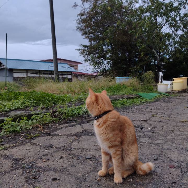 67d12fb9 ae6c 4080 a7fc 92179e07aac7 1665350970923