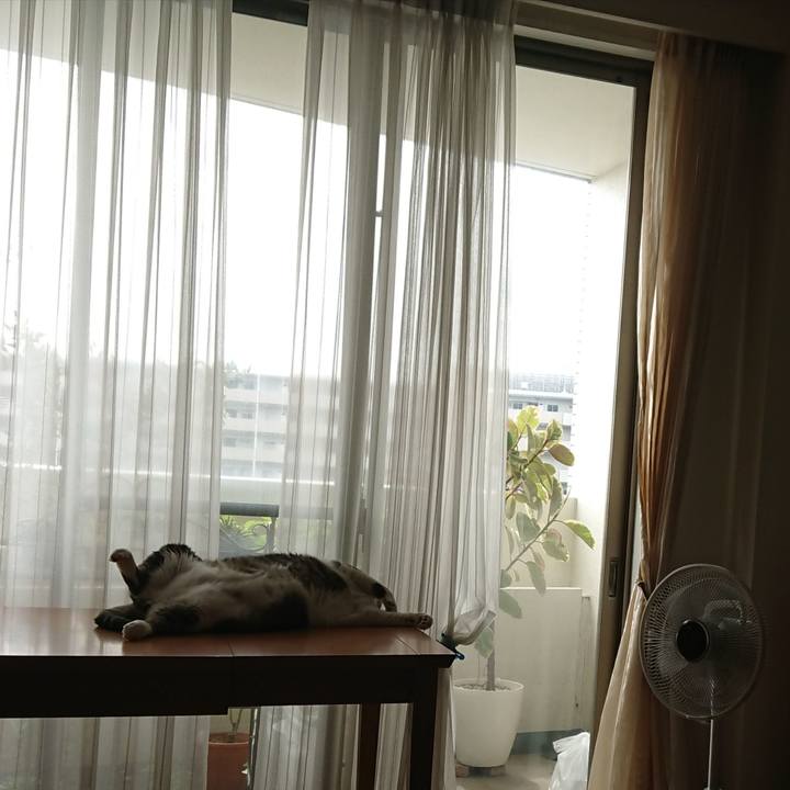 67d13a87 2a78 4980 a37b b51137b5331d 1528945993021