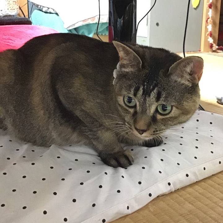 67d13c77 7b1d 4eef 823f 3499bba02d78 1688217232407