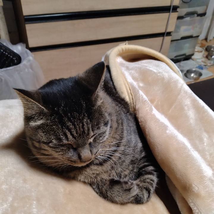 67d15a24 5b16 4ae1 8e48 464fdd0505e6 1705443654365