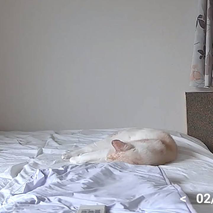 67d1776e 38a2 4591 84ef 9f7104f4dd9f 1752884211098