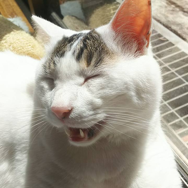 67d18150 741f 4cda 9dd1 0a65da549d88 1525046900815