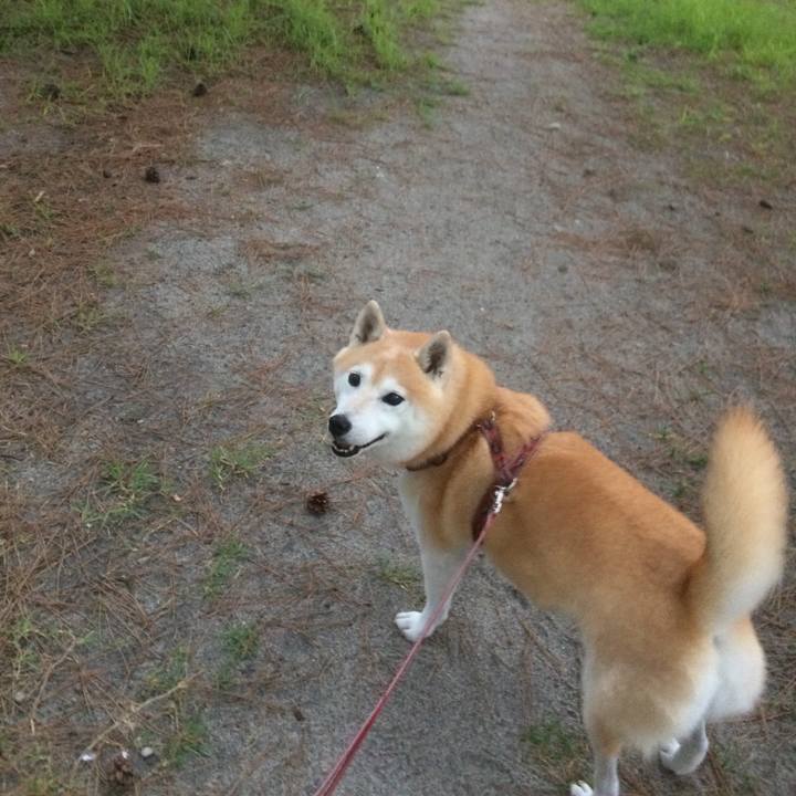 67d19d7a 8207 4612 a8ef 78bd21077b9a 1573833962110