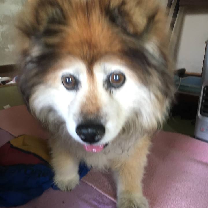 67d1b8f9 9e92 4412 9b22 09bf27a0b4df 1560035384679