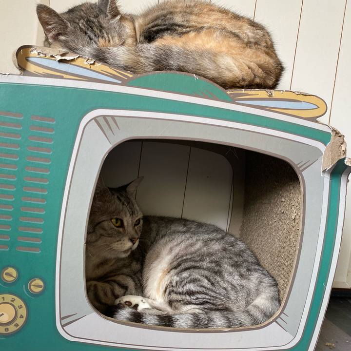 67d1c02e e5f9 4862 ad81 faa30eea37da 1657328101610